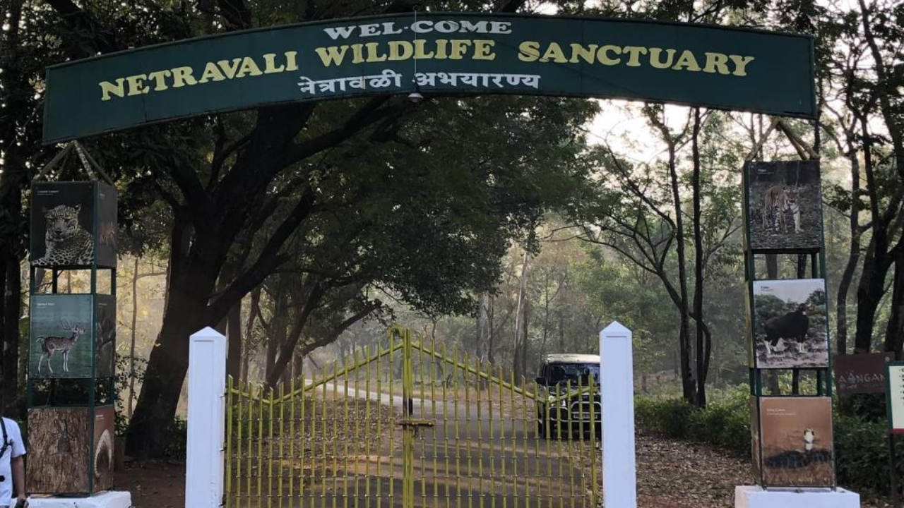 Netravali Wildlife Sanctuary